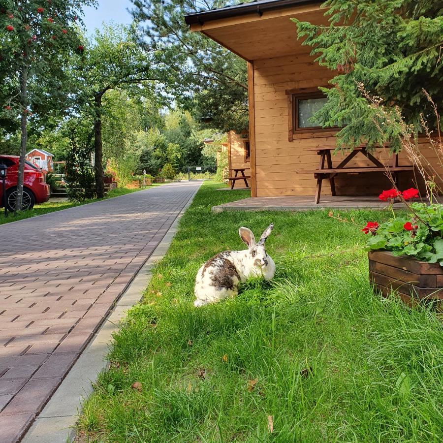 Ow Gabi Hotel Mrzezyno Bagian luar foto